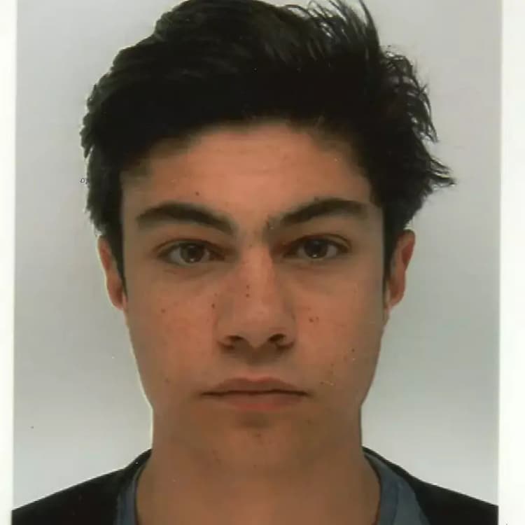 Dylan
